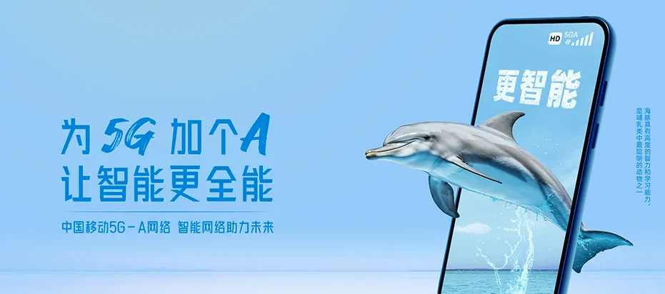 泸溪县泸溪县洗溪镇 移动宽带